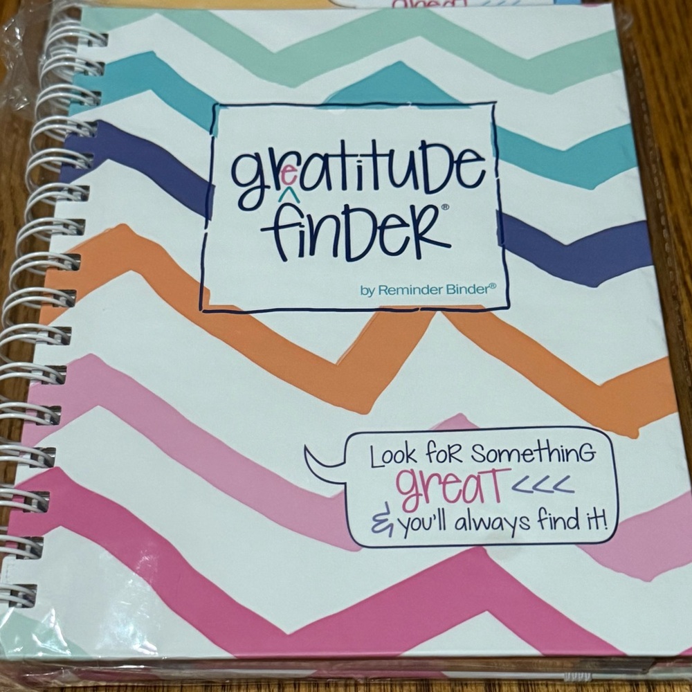 🔥 NEW Reminder Binder Gratitude Finder Journal Planner Spiral Notebook *Chevi